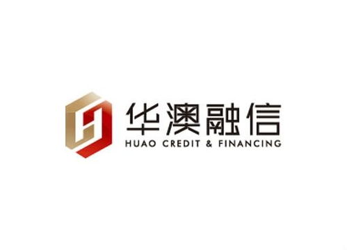 四川華澳融信投資管理 專業(yè)投資咨詢的可靠伙伴